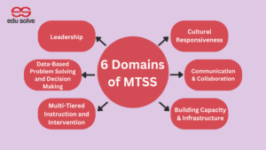 6 domains of MTSS